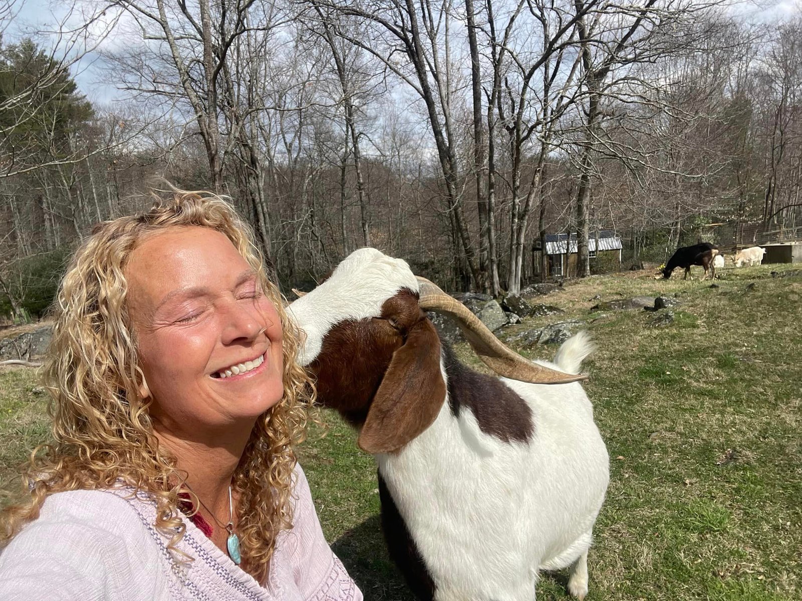 Goat-kiss