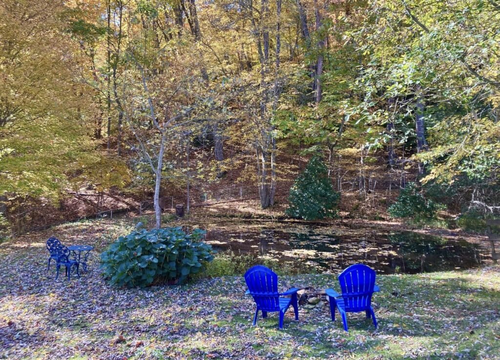 cozy-outside