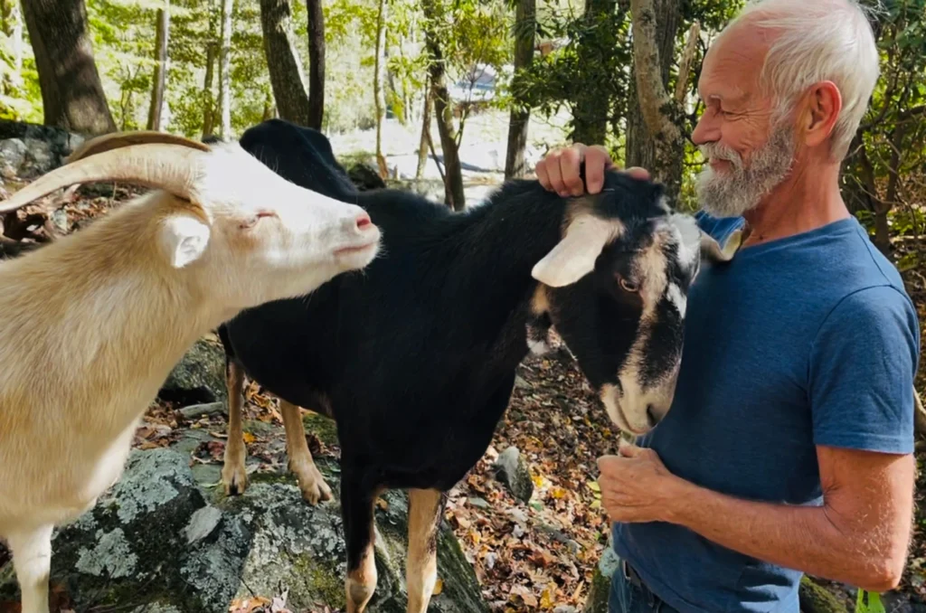 oldman-goat