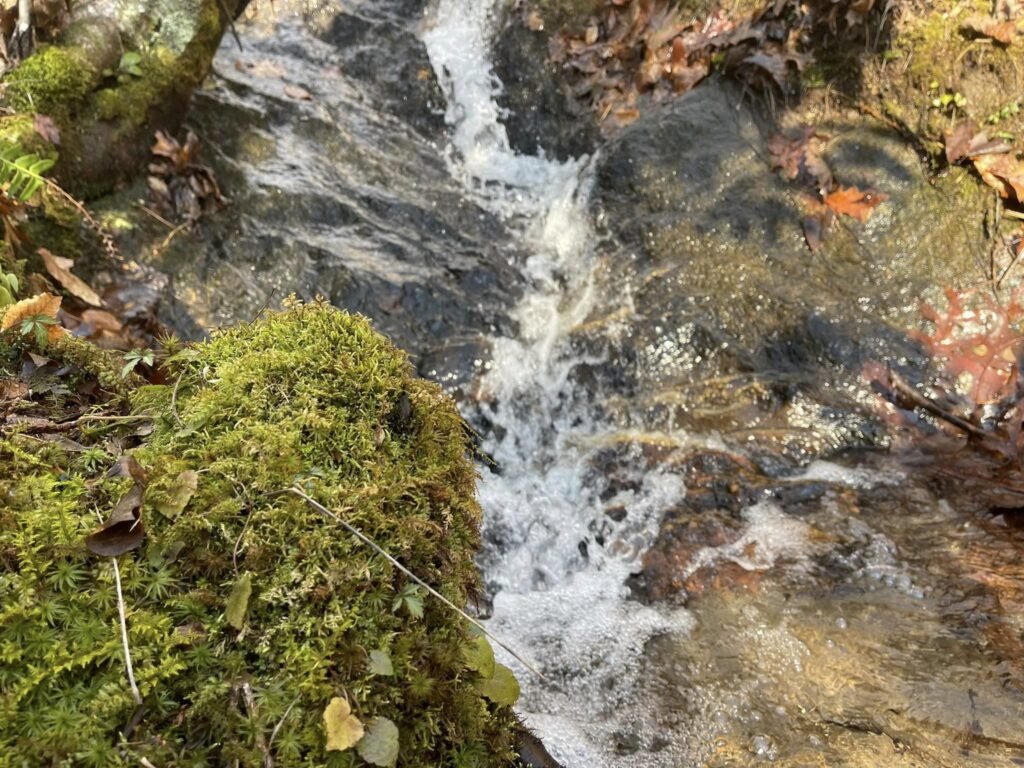 spring-water