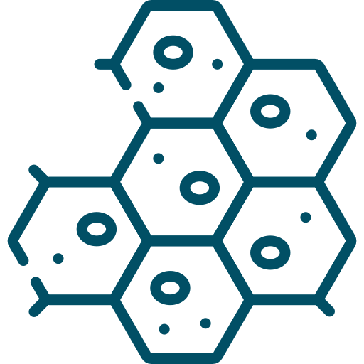 Wound Healing & <br/>Tissue Repair