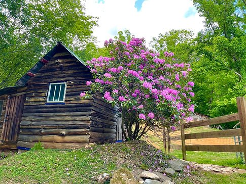 cozy-cabin.jpg