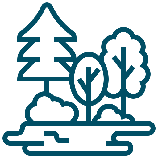 Nature-based activities that promote resilience and grounding