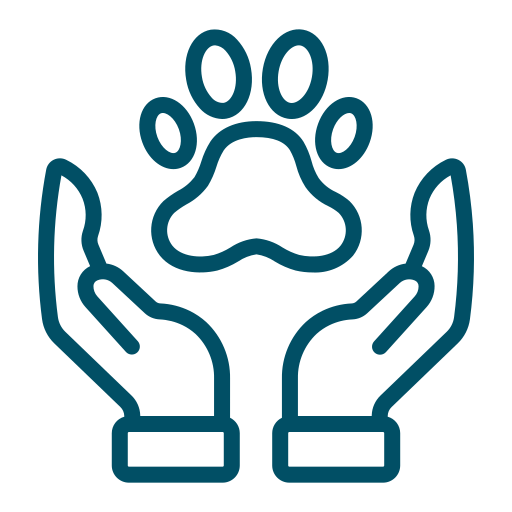 Animal-assisted healing sessions to encourage comfort and connection
