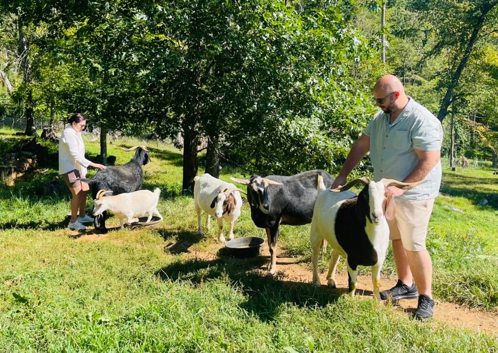 Western NC Animal Sanctuary Retreat