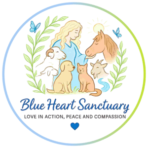 Western NC Animal Sanctuary Retreat